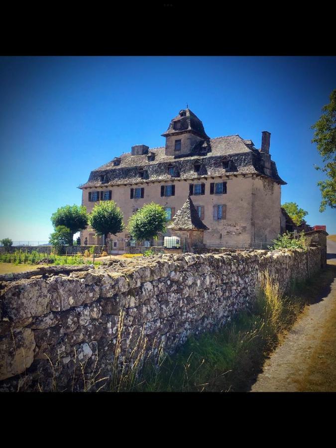 Chateau De Cours Sénezergues Extérieur photo